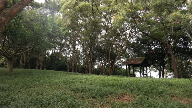 自然背景图片下载