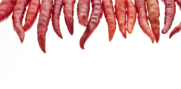 红辣椒图片下载