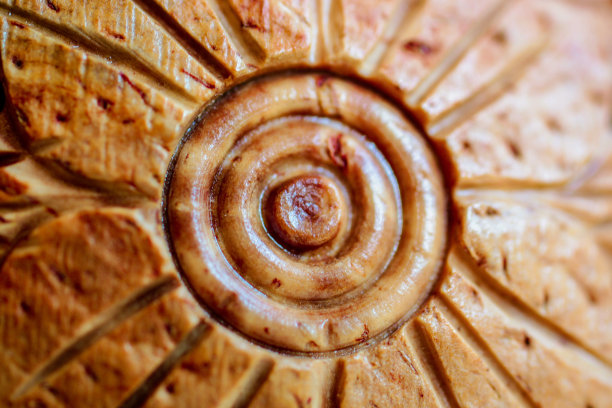 椰子的纹理图片下载