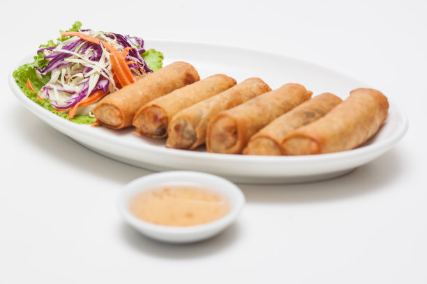 蛇春卷图片下载