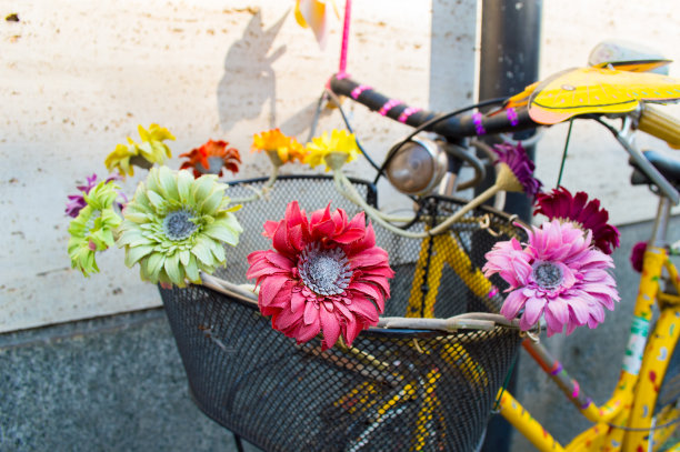 装饰的自行车图片下载