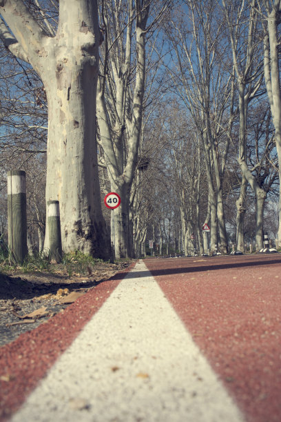 一个冬季公园的自行车道的速度信号图片下载