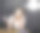 年轻漂亮的女学生在教室的黑板上做作业图片下载