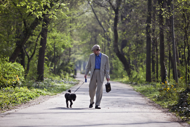 老人遛狗图片下载