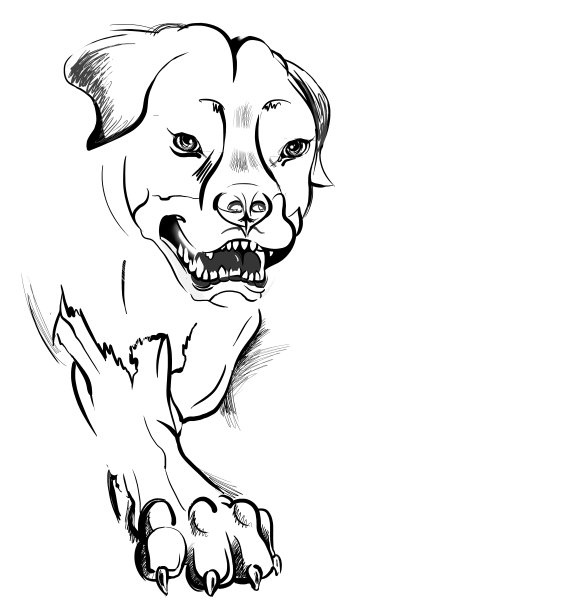 积极的蓬松的狗。白线，黑背景图片下载