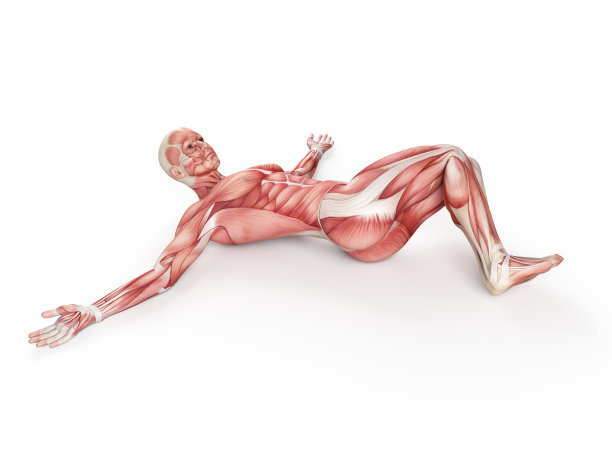 锻炼——消极的仰卧起坐图片下载