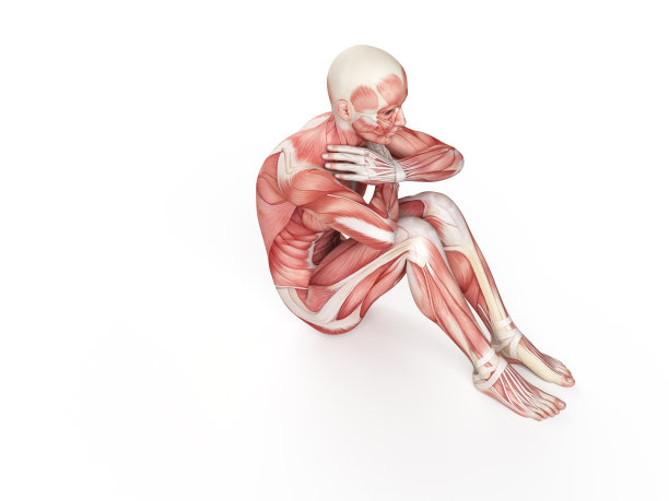 锻炼——消极的仰卧起坐图片下载