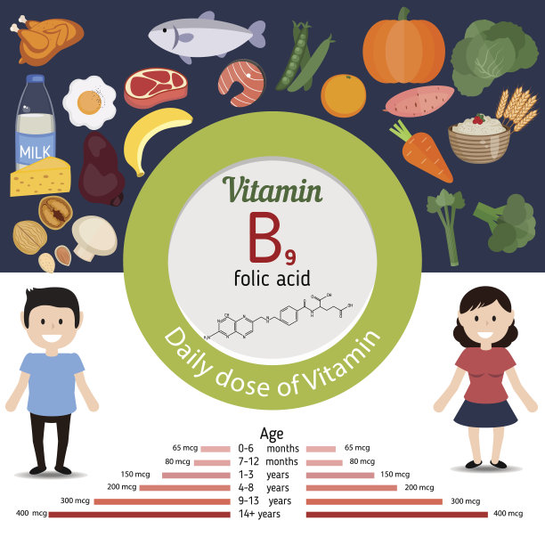 维生素B9或叶酸信息图表图片下载