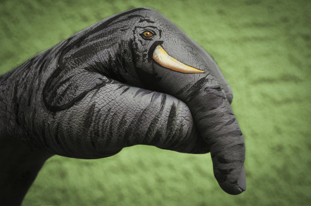 艺术bodypaint大象图片下载