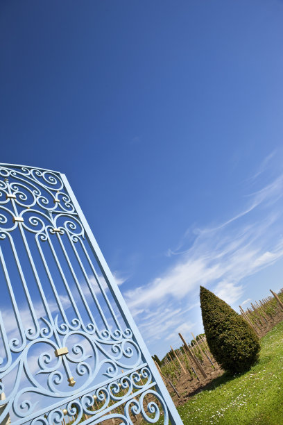 铁艺大门图片下载