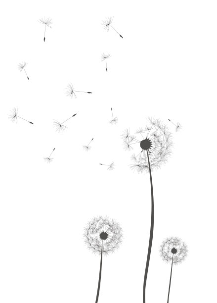 蒲公英的背景图片下载