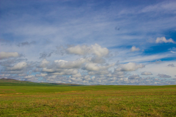 春天在哈萨克斯坦的大草原图片下载