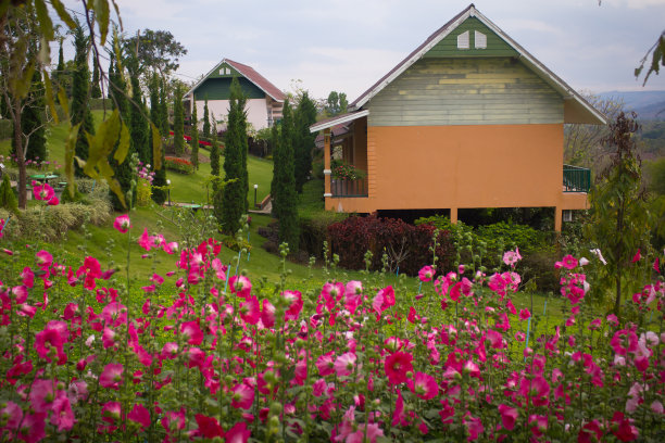 山上有花园的房子图片下载