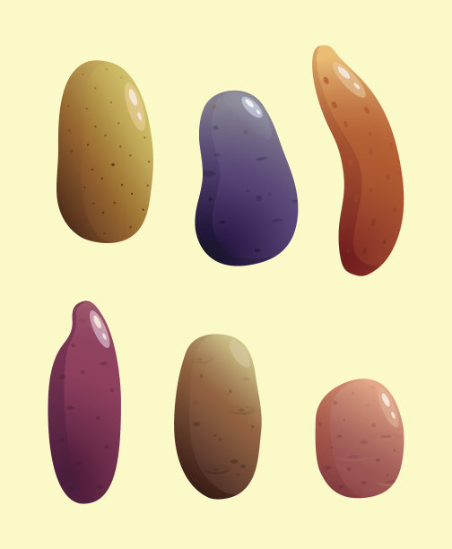 土豆矢量插图图片下载