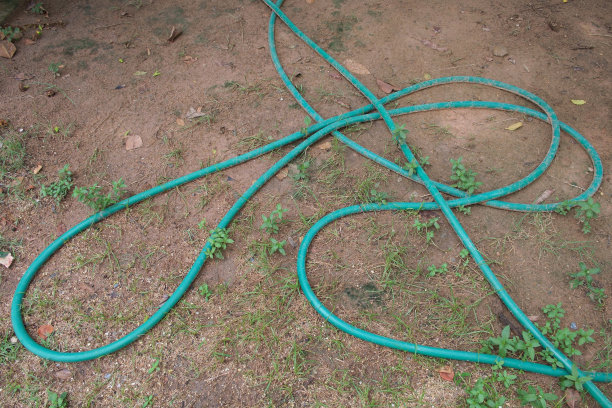 绿色的花园软管图片下载