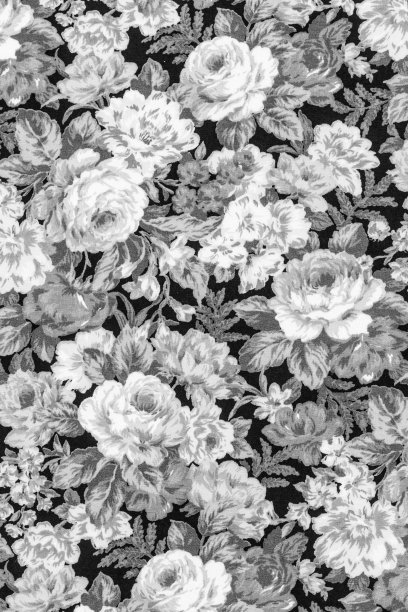 灰色玫瑰复古织物背景。图片下载