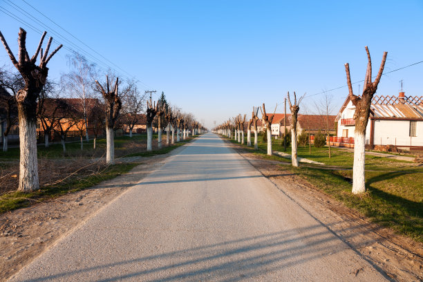在一条穿过村庄的空路上开车图片下载