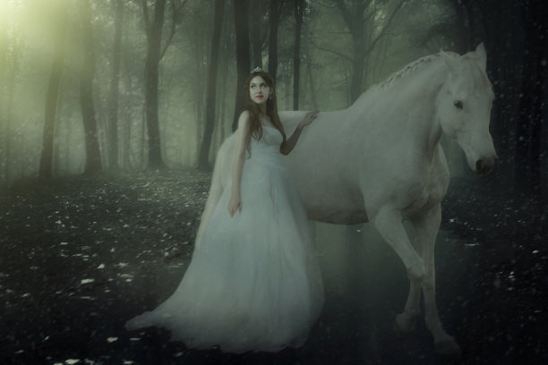 梦幻般的婚礼图片下载