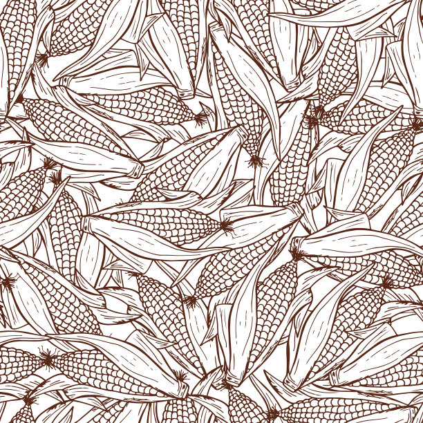 矢量蔬菜背景。手绘涂鸦玉米棒子无缝图案图片下载