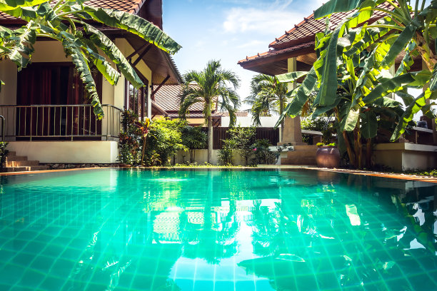 热带别墅在棕榈树和游泳池绿松石水图片下载