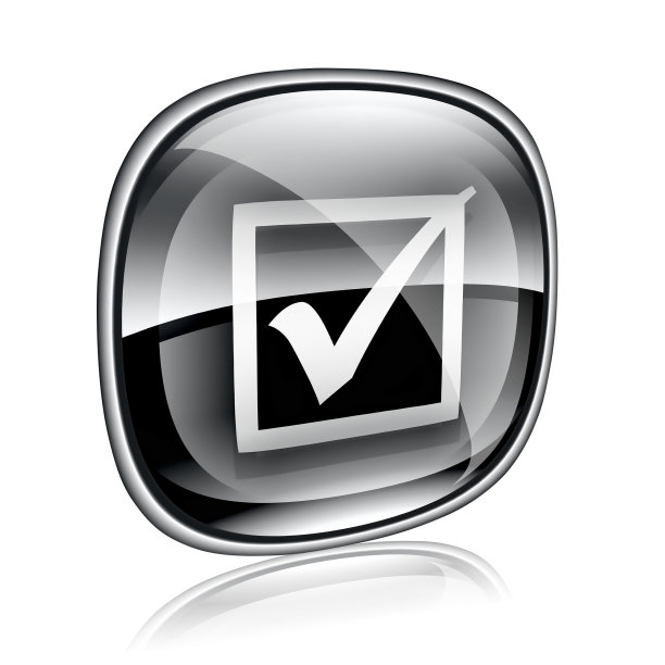 检查图标黑色玻璃，孤立在白色背景。图片下载