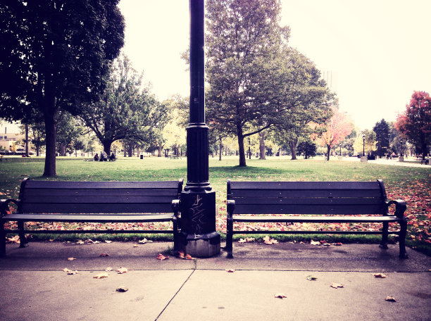 秋天的两张公园长椅图片下载