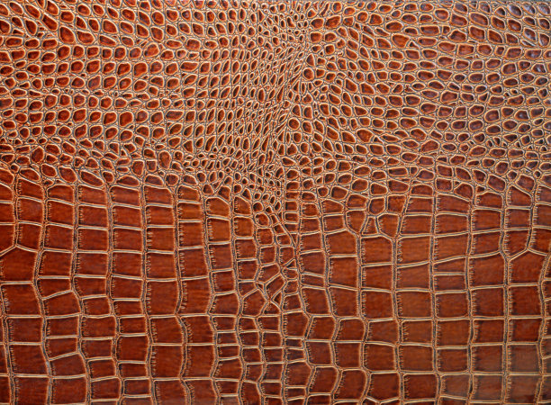 鳄鱼皮图片下载