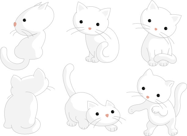 六个白色的小猫图片下载