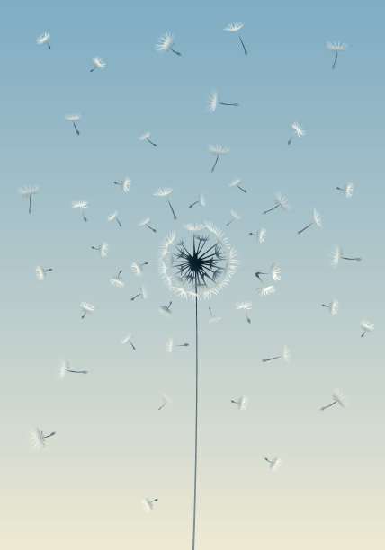 蒲公英花的背景图片下载