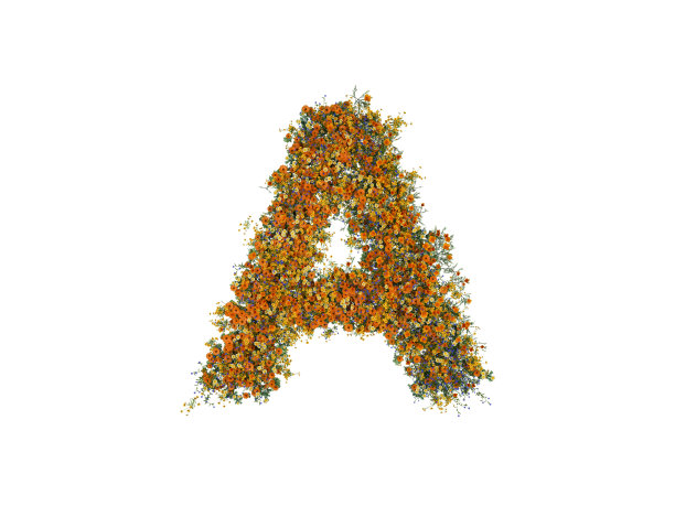 字母A的花和草在白色的背景图片下载