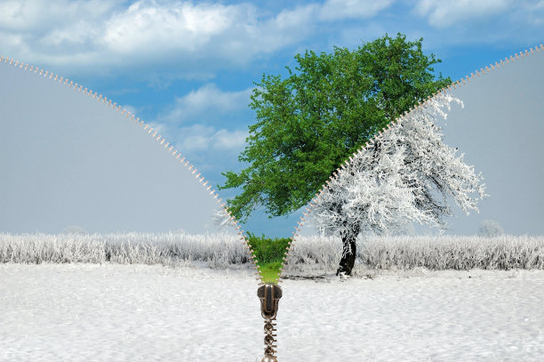 春夏秋冬图片素材ID：124216708