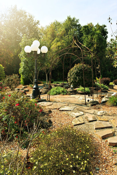 岩石花园图片下载