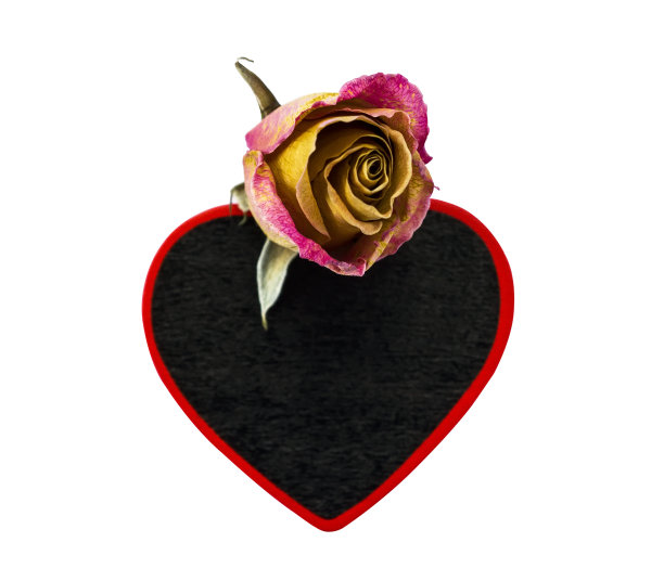 玫瑰与黑心图片下载