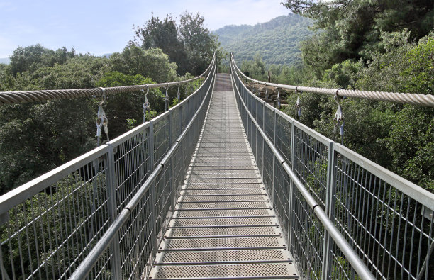 峡谷上的吊桥图片下载