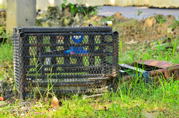 水安装在水管上图片下载