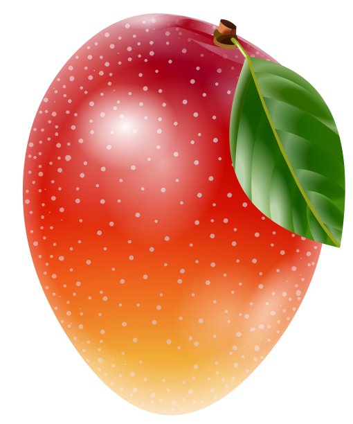 芒果果实插图图片下载