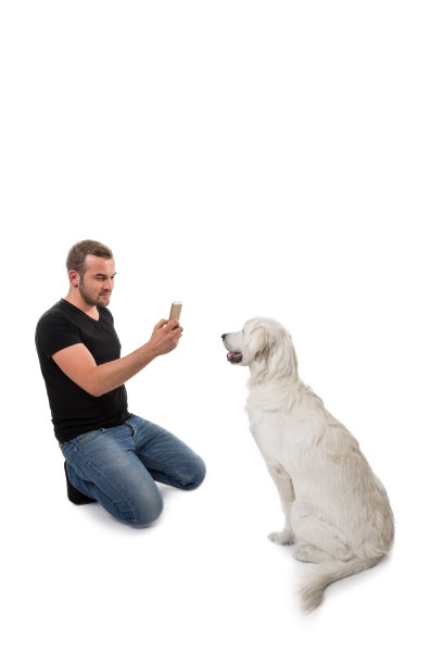 坐下来，服从命令图片下载