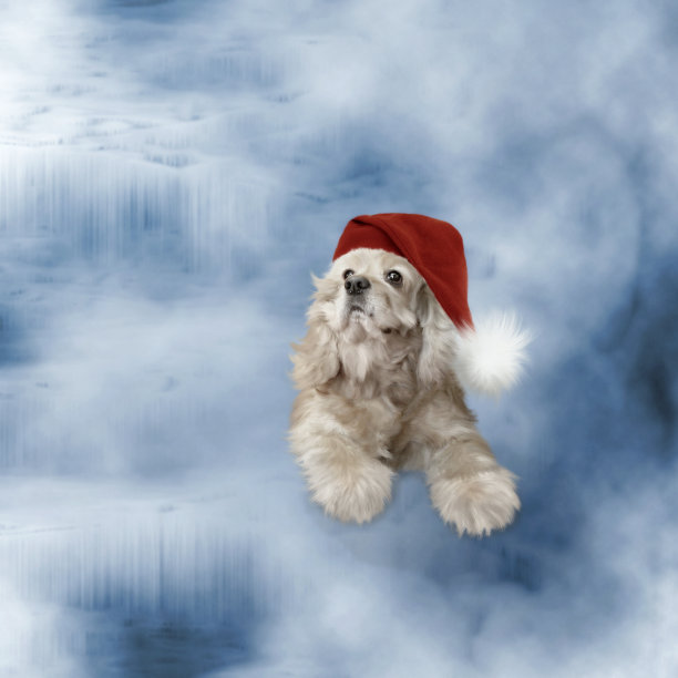 圣诞故事图片下载