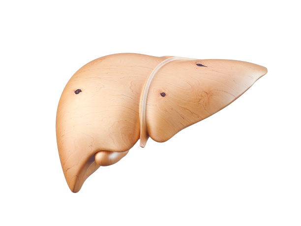 人的肝脏是木头做的图片下载