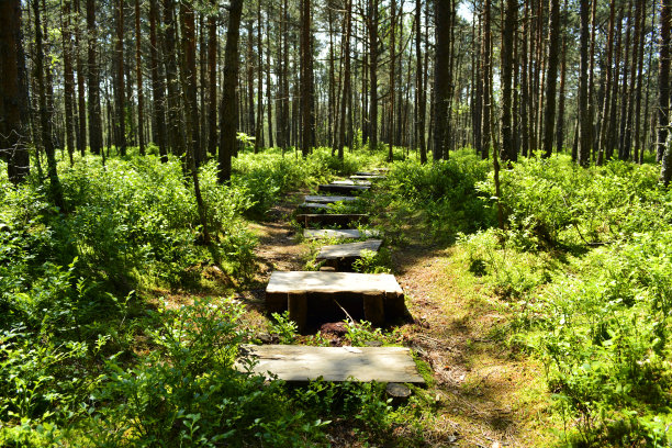 不同的方式图片下载