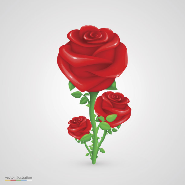 向量玫瑰。图片下载