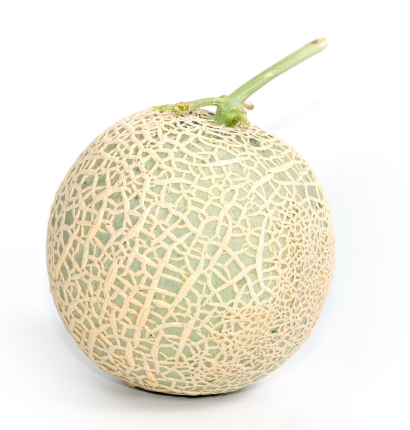 哈密瓜瓜图片下载