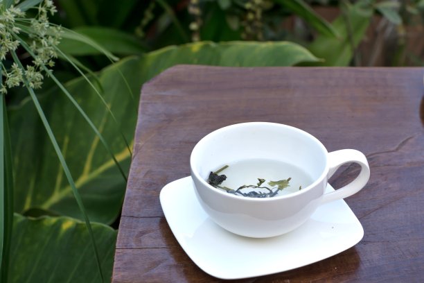 一杯热茶，背景景观绿植图片下载