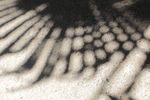 Heligan花园图片下载