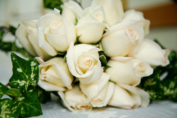 白玫瑰花束图片下载