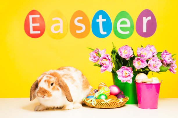 漂亮可爱的兔子，带着五颜六色的东方蛋图片下载