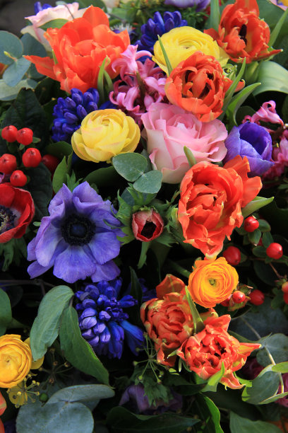 混合春天的气味图片下载