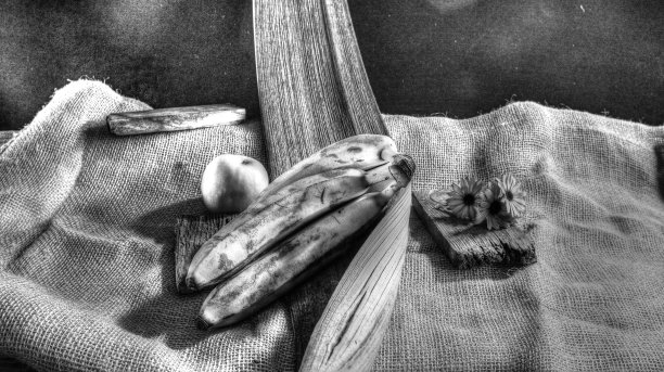 黑色和白色的水果图片下载