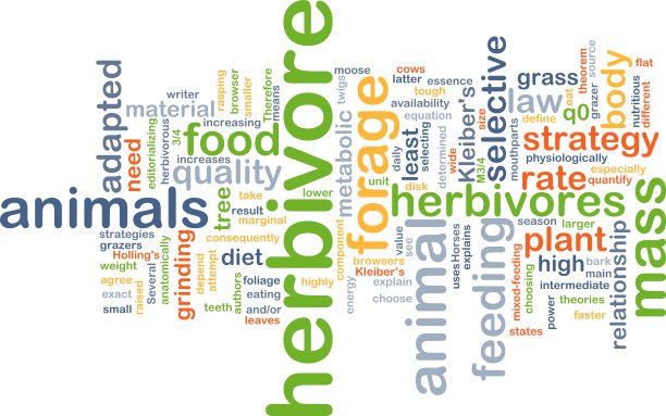 食草动物的背景概念图片下载