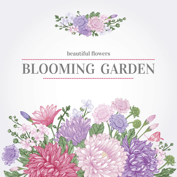 夏日鲜花卡片。素材图片